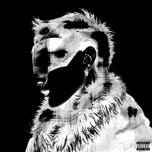 美女沙滩ⅹⅹⅹHD
