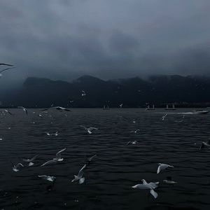 美女沙滩ⅹⅹⅹHD
